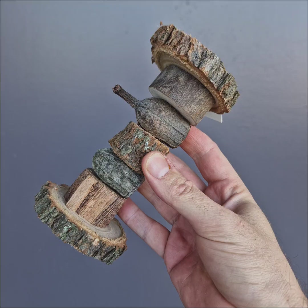 Barbell Gumnut Foot Toy - natural Australian gumnut and native wood foot toy for parrots