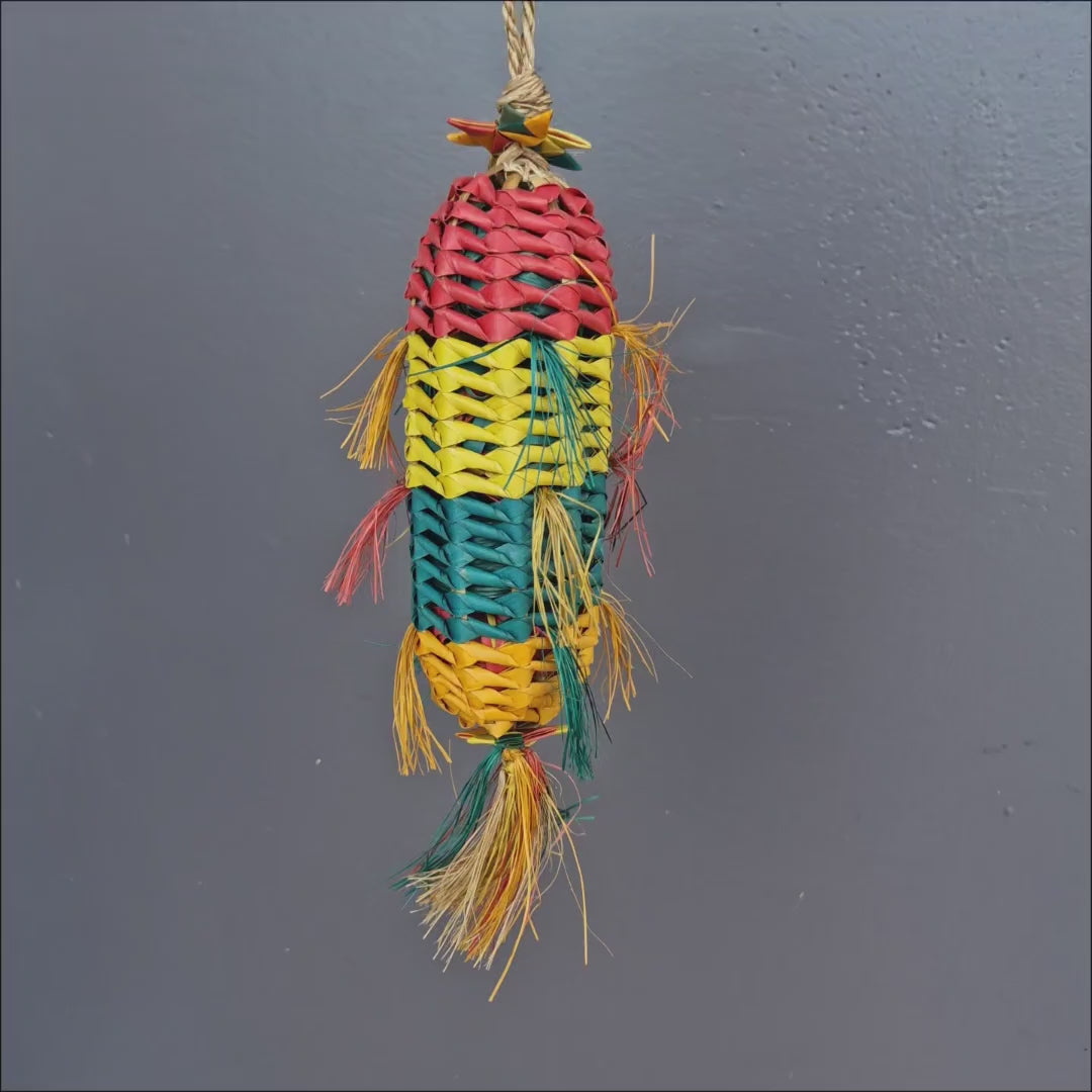 Pinata Melon Forager