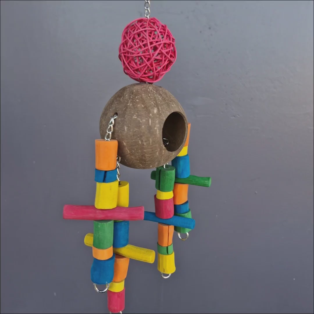 Coco Robot Forager