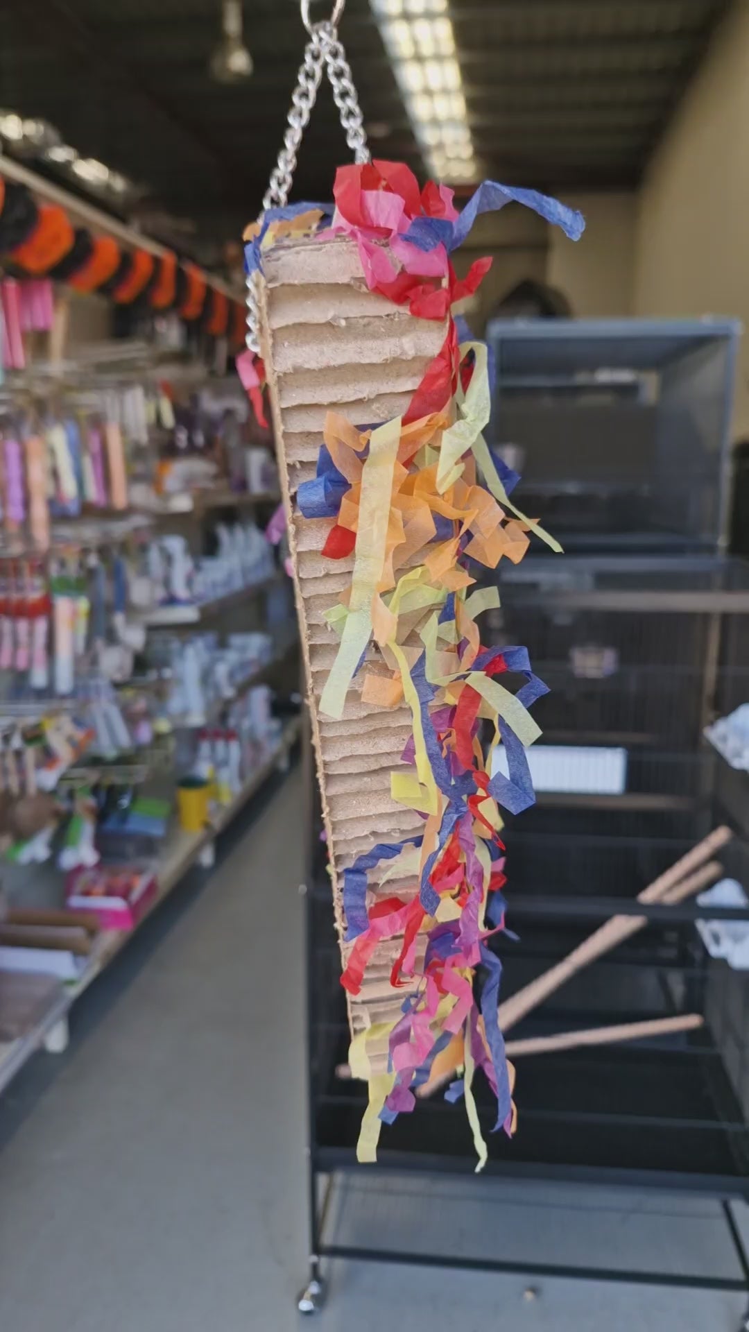 New York Parrot Slice