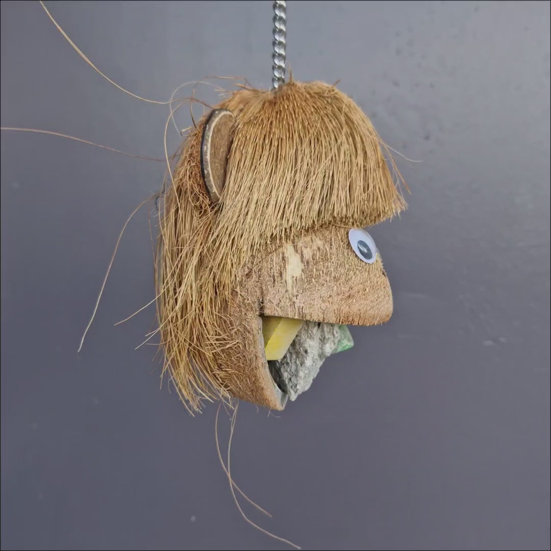 Cheeky Chimp Forager – coconut and metal foraging toy for large parrots