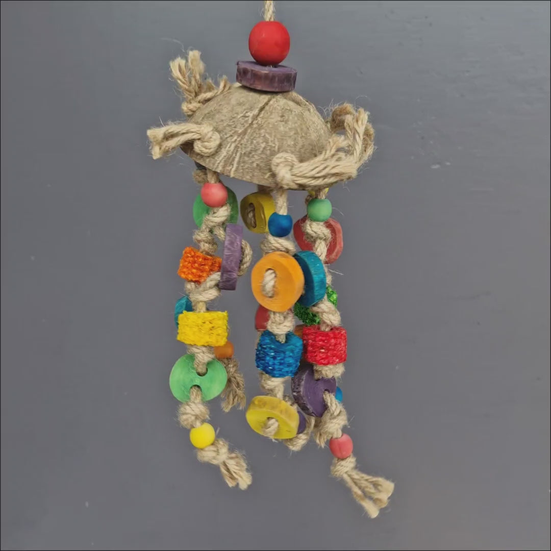 Coconut Rainbow Chimes