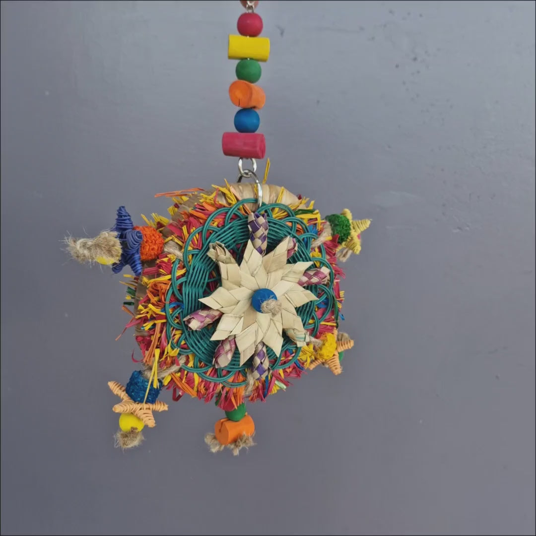 Parrot Pizza Plate