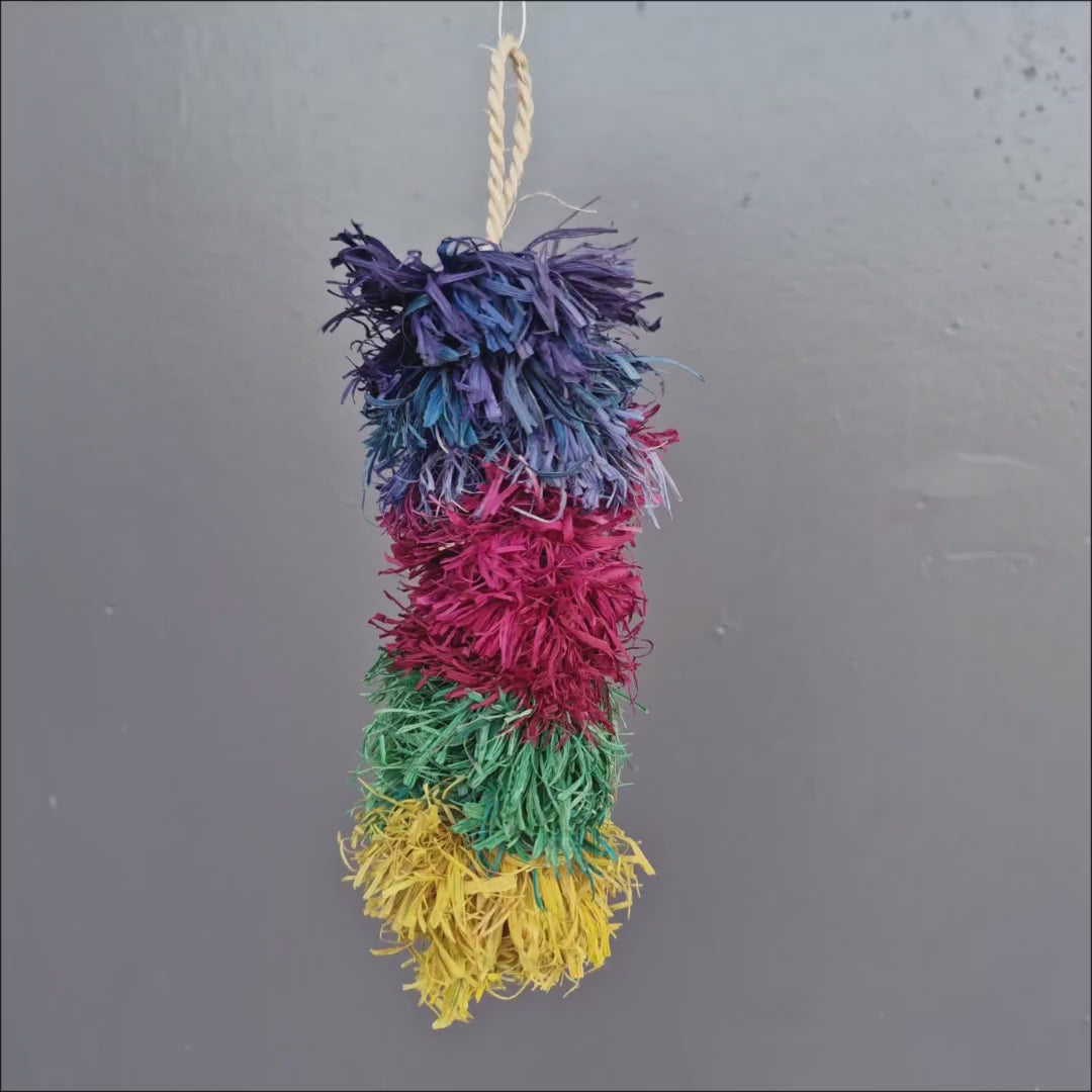 Fiesta Bottlebrush