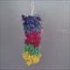 Fiesta Bottlebrush