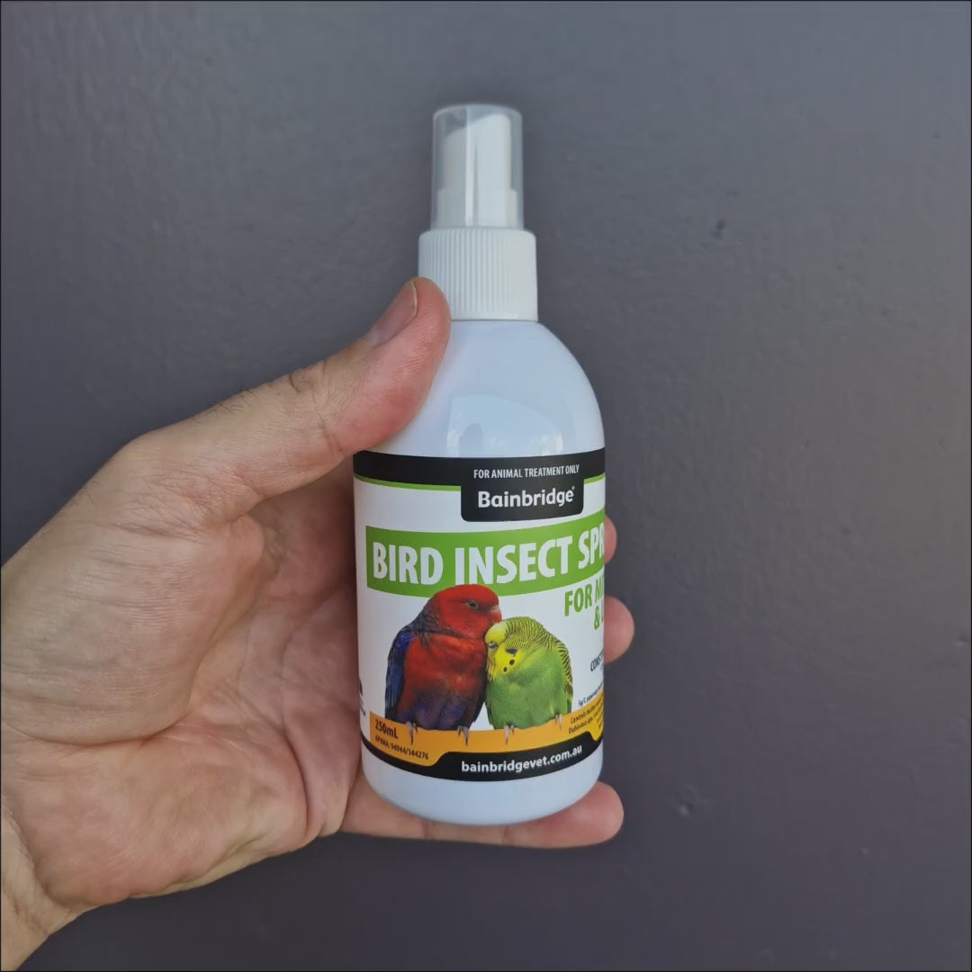 Video showing the Bainbridge Bird Mite and Lice Insect Spray, its pyrethrin based formula for feather mites and lice on caged birds and their cage
