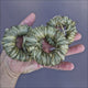 Alfalfa Ring Foot Toys 3pk – alfalfa and hay foot toy for birds of all sizes