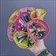 Coral Foraging Flower