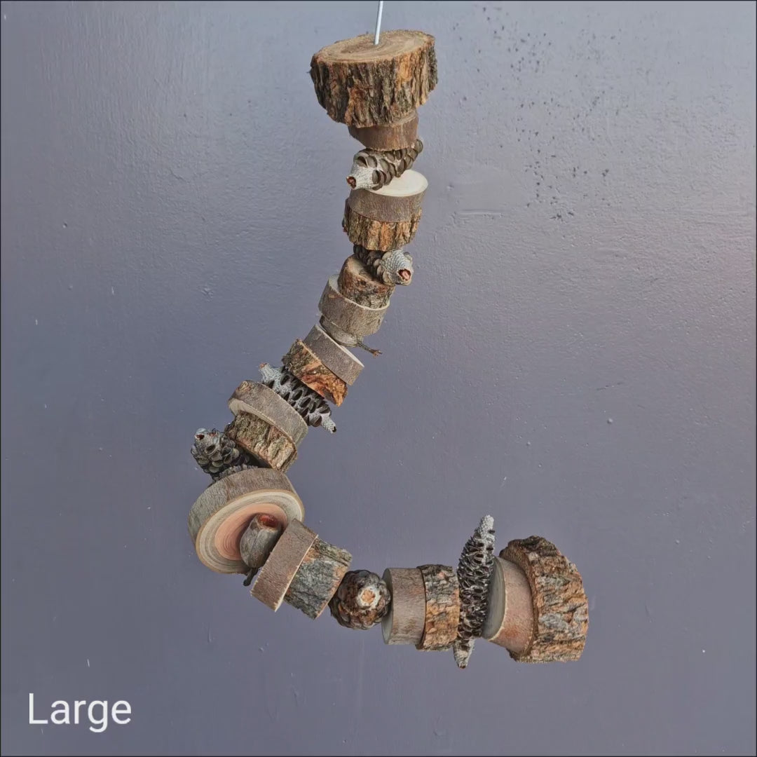 Birdnerd Natural Spiral - bendable Australian native wood and gumnut chew toy for parrots