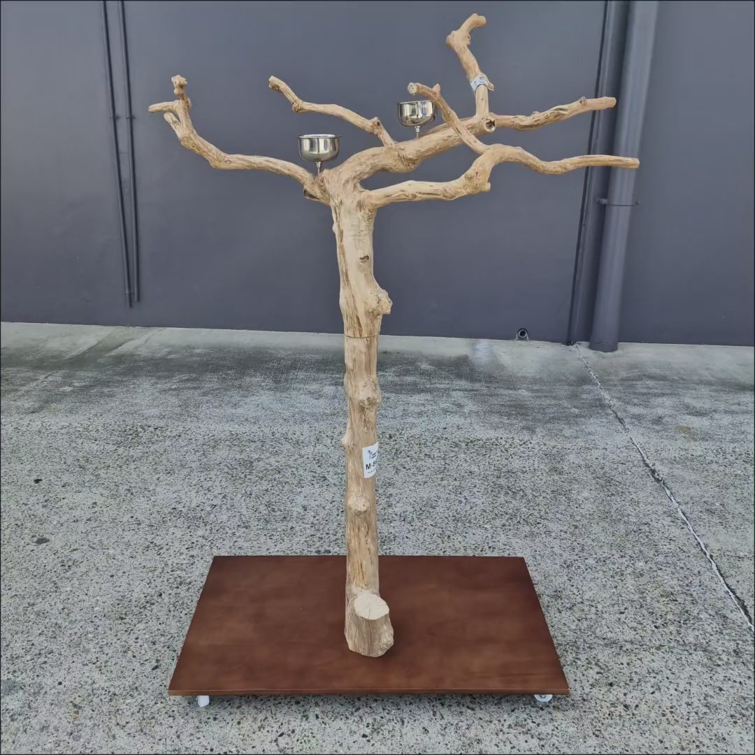 Java Floorstand Play Gym 862
