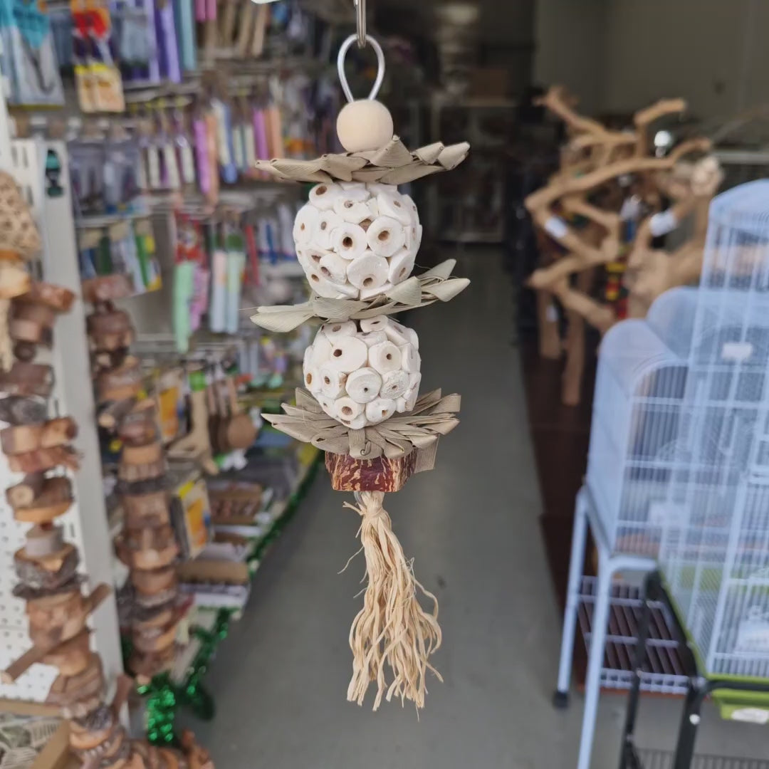 Avian Care Palm Star Balls