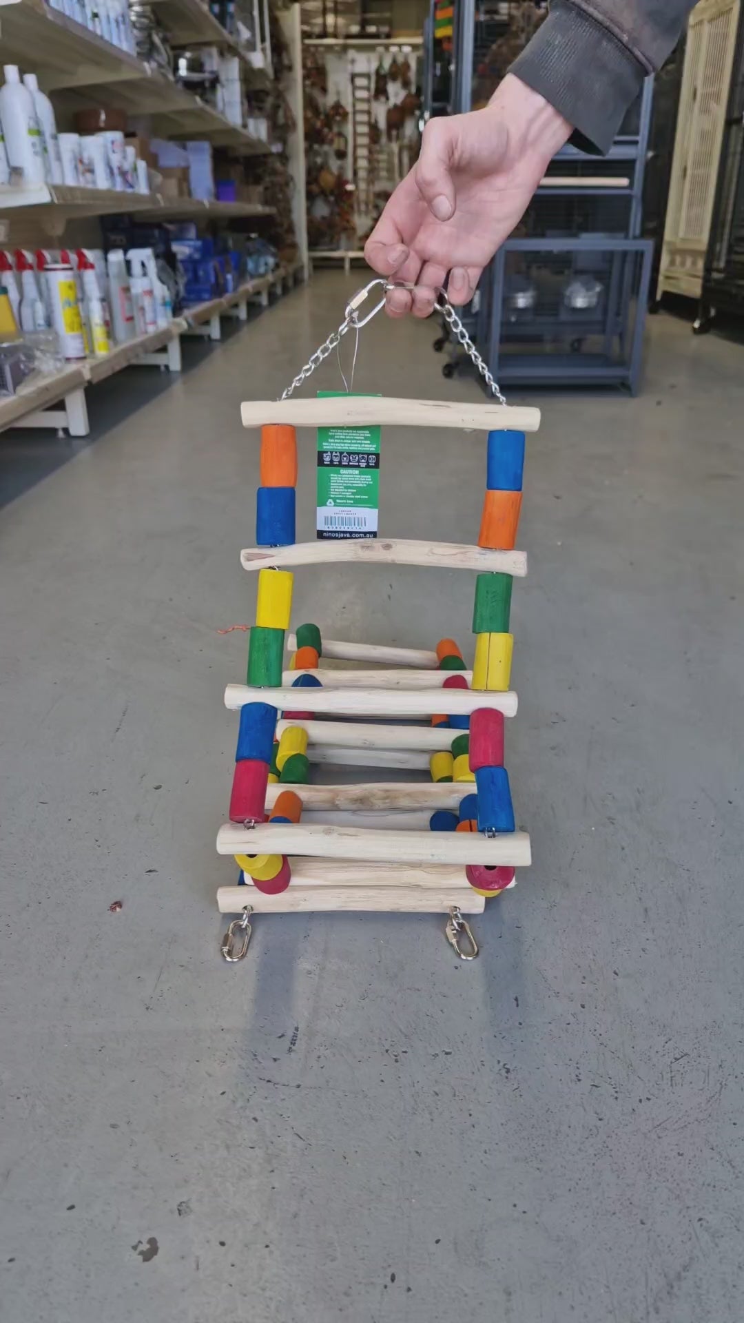 Giant Parrot Ladder