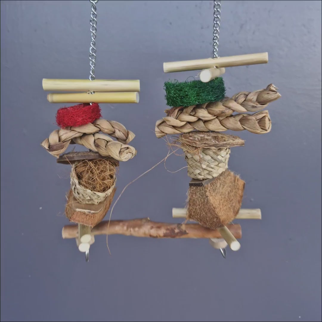 Swing Forager