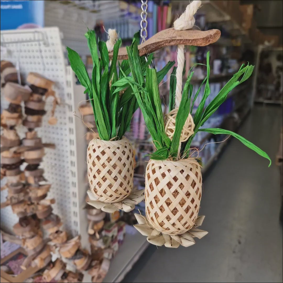 Pineapple Paradise Forager