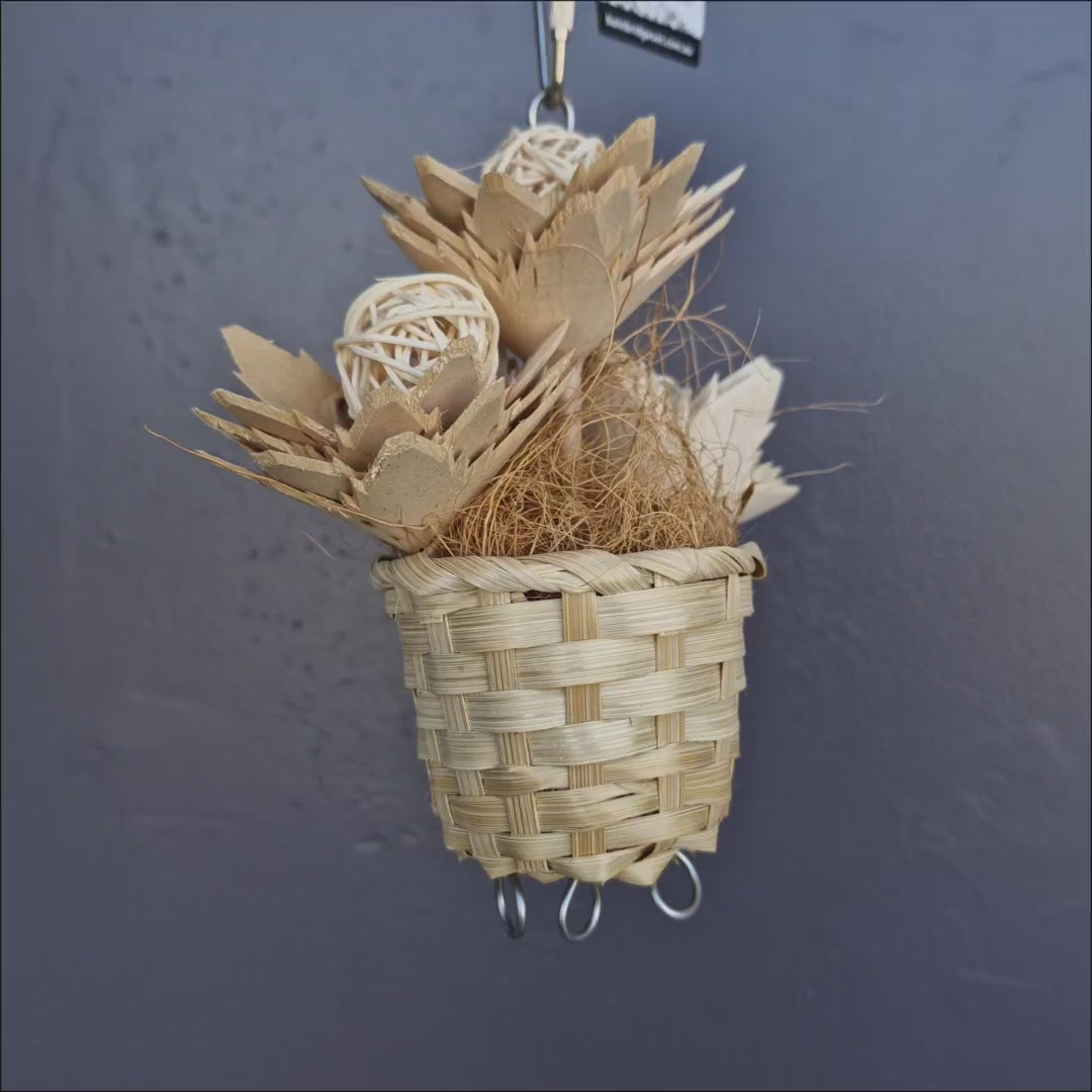 Balsa Blooms bird toy with soft balsa wood pieces for chewing