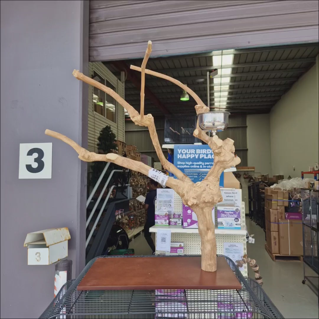 Java Tabletop Play Gym 811, video of the java wood tabletop parrot stand and food bowl, showing the crack in the stem