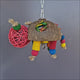 Coconut Turtle Forager