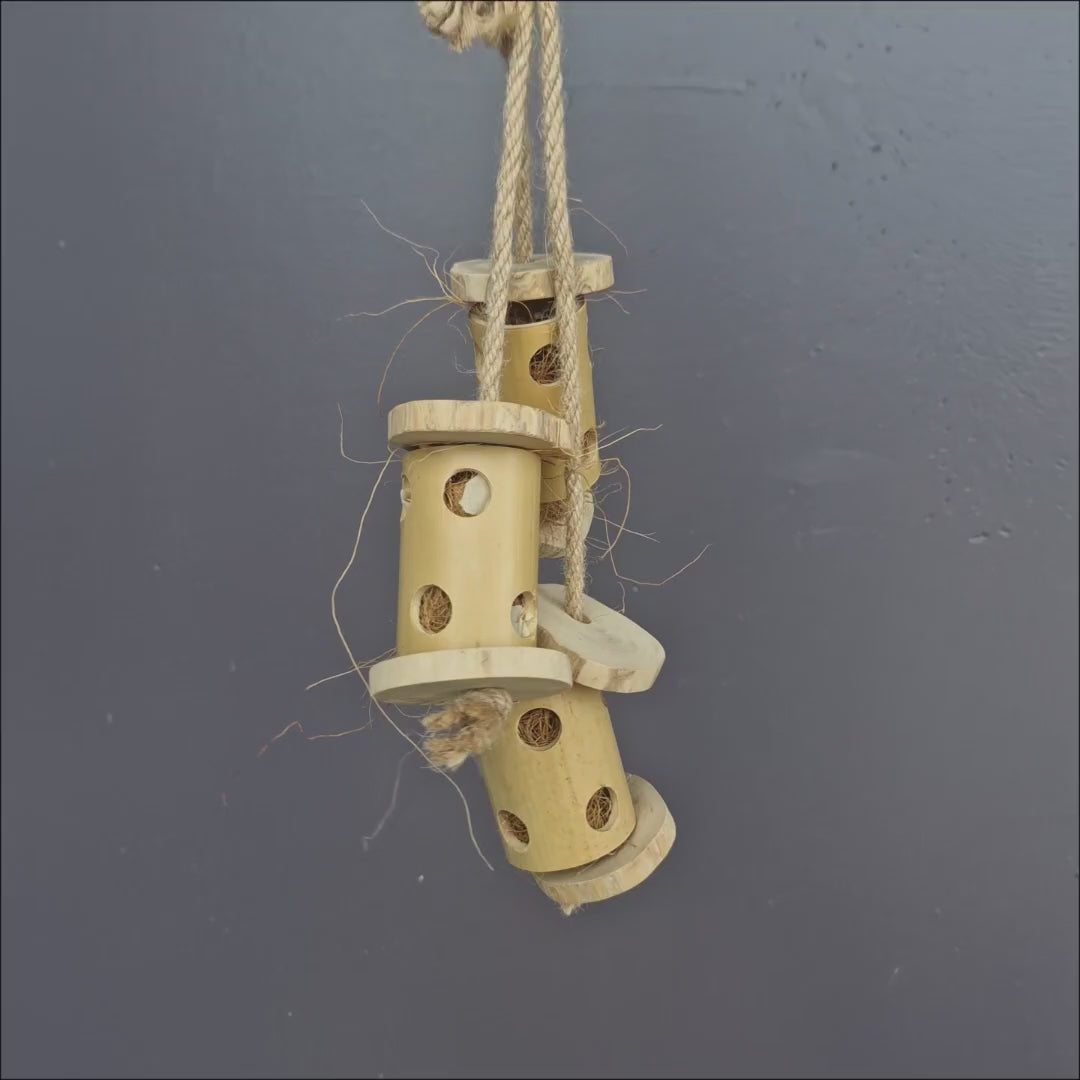 Beak Joy Bamboo Climber