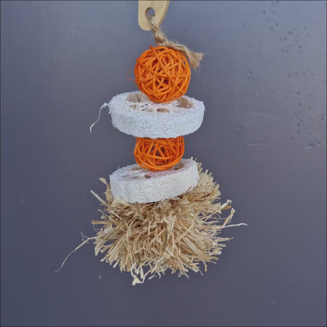 Pom Pom and Loofa Nibble