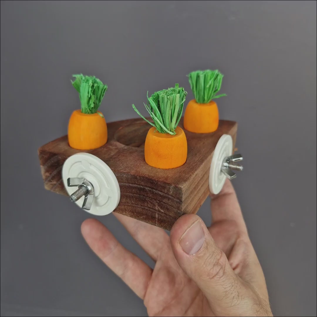 Corner Carrot Forager
