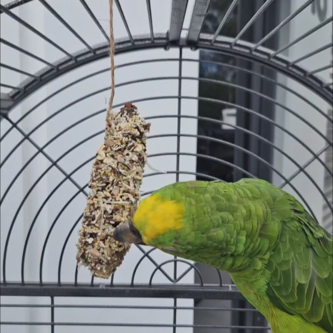 Raw for Birds Banksia Nibbles 2pk