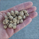 Video showing Vetafarm Macaw Nuts packaging and the large food pieces