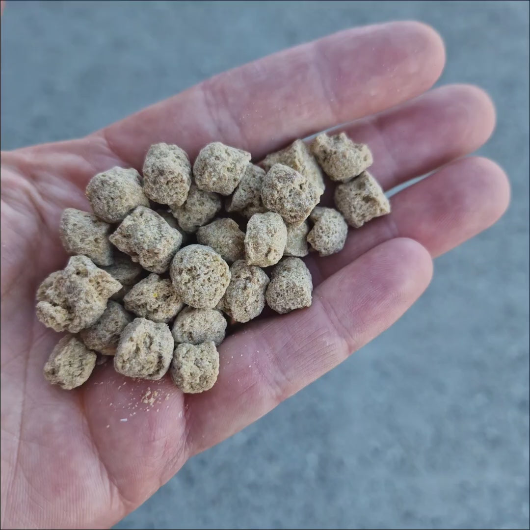 Video showing Vetafarm Macaw Nuts packaging and the large food pieces