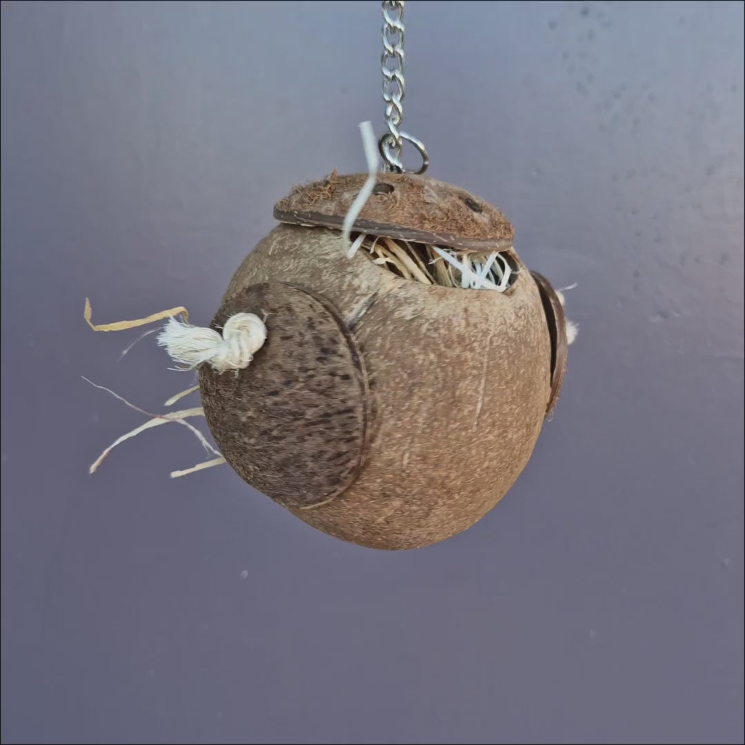 Go Nuts Forager