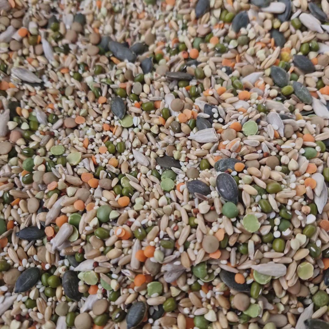 Raw for Birds Petite Soaking Blend