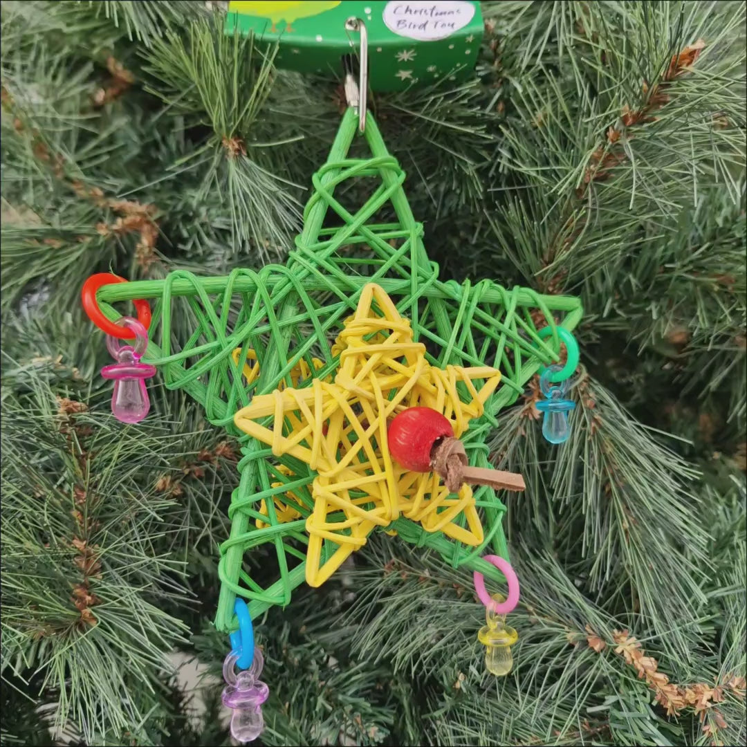 Christmas Wicker Star