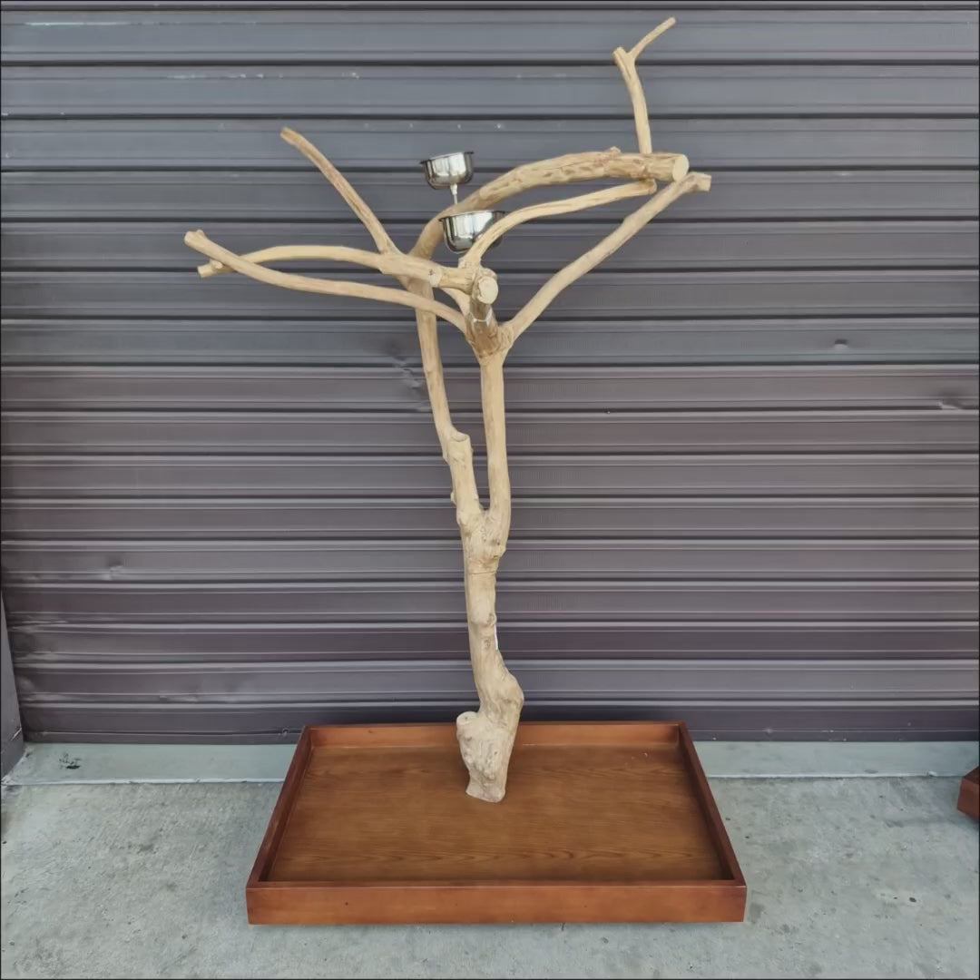 Java Floorstand Play Gym 268