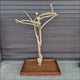 Java Floorstand Play Gym 268