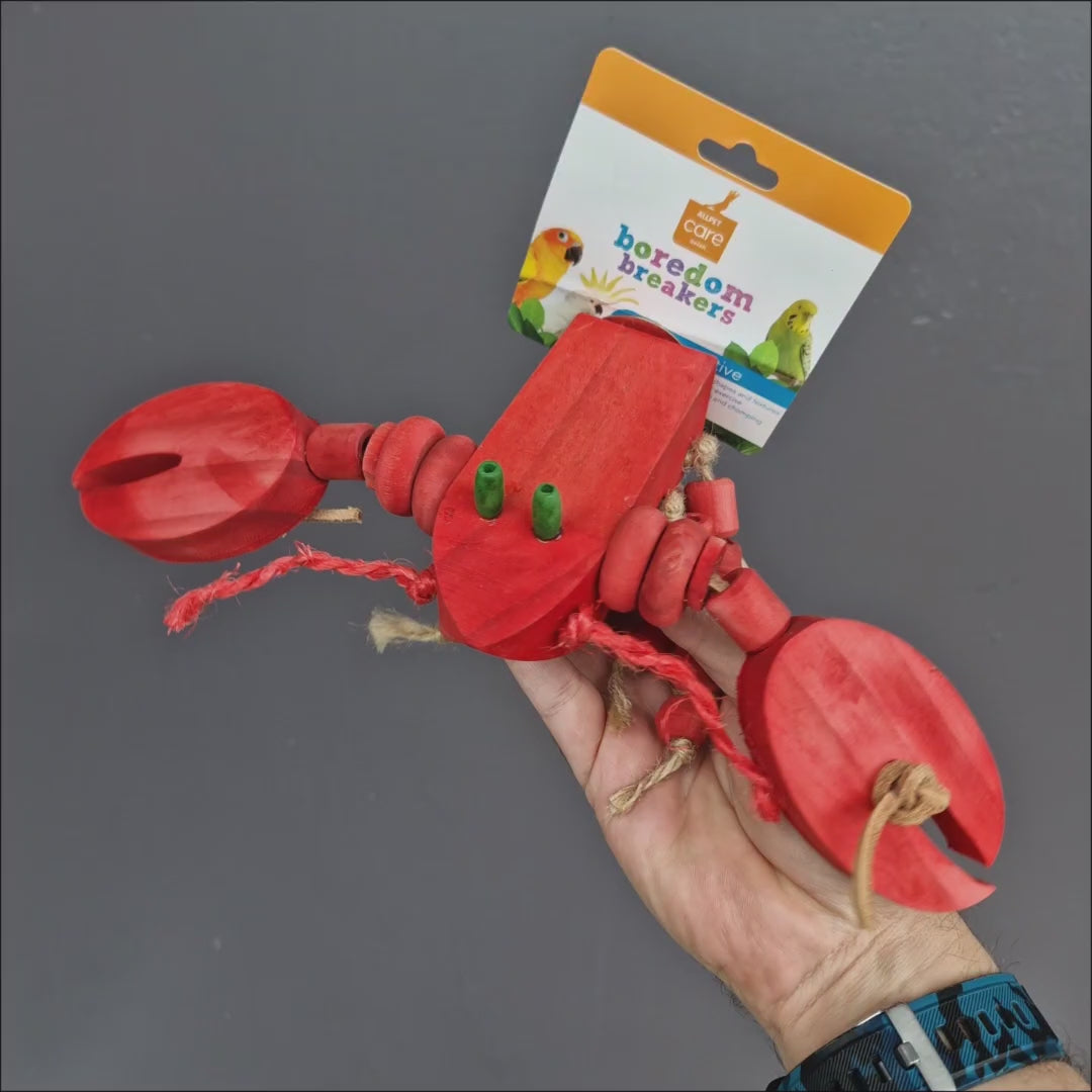 CJ The Lobster