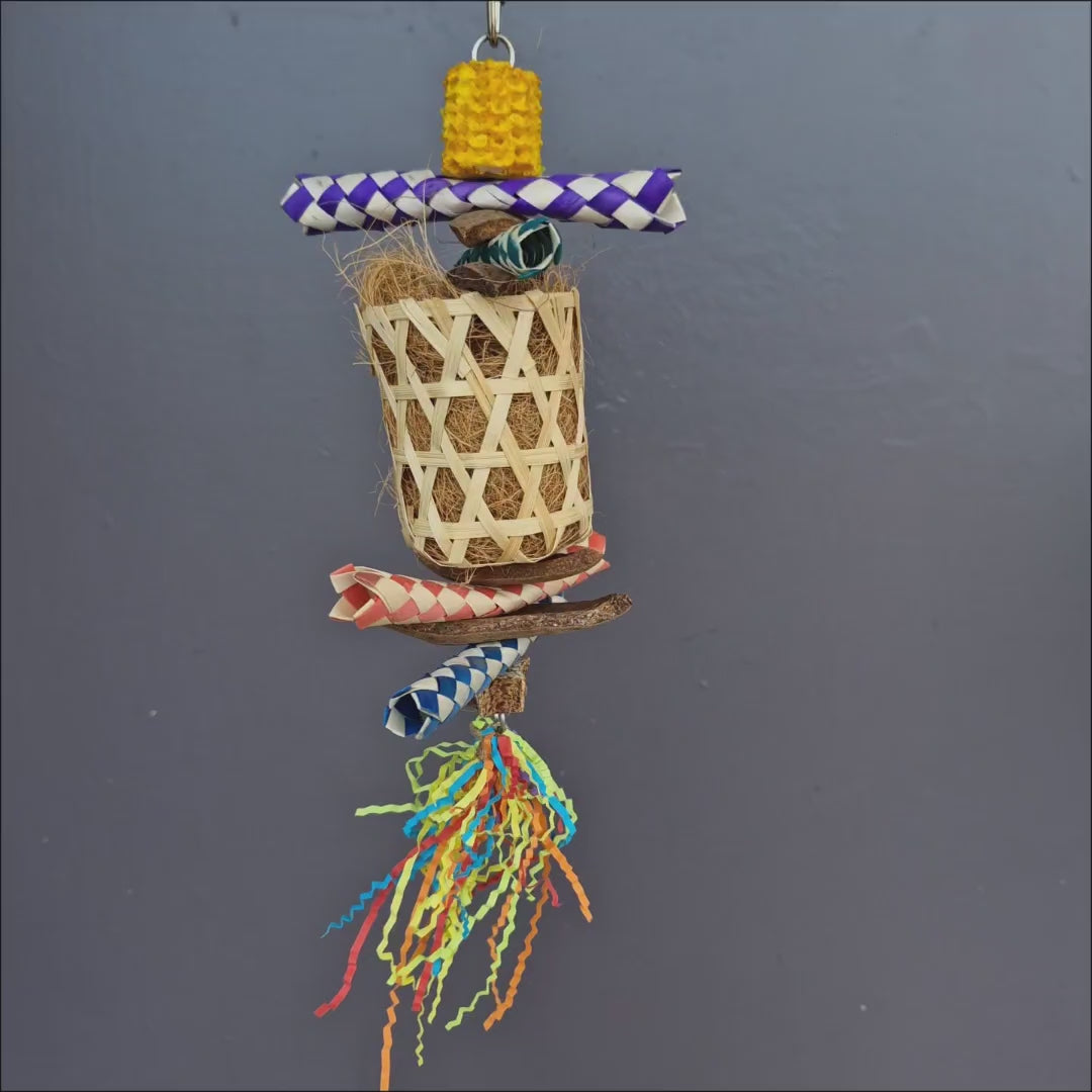 Party Popper Chew and Forage