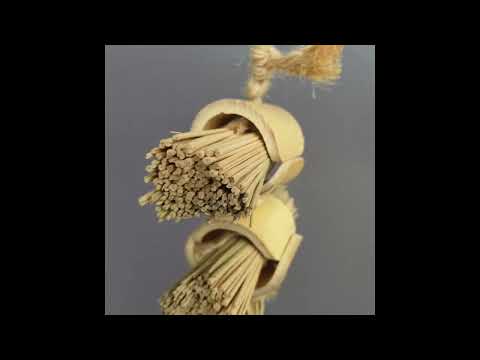 Bullrush Bunches Shredder