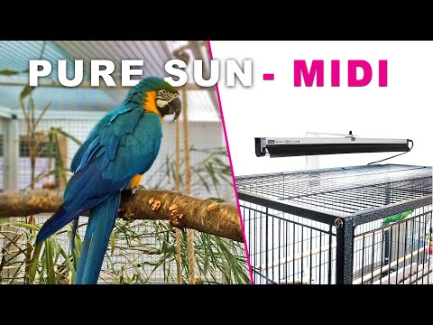 Arcadia PureSun Mini Bird Light Kit