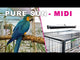 Arcadia PureSun Mini Bird Light Kit
