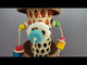 Coconut Loofa Lantern