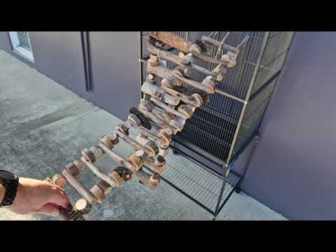 Aussie Bush Ladder