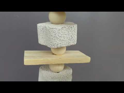 Pumice Nibbler