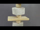 Pumice Nibbler