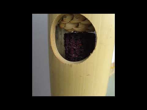 Stuffed Lantern