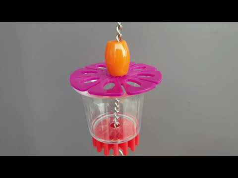 Triple Beginner Foraging Cups