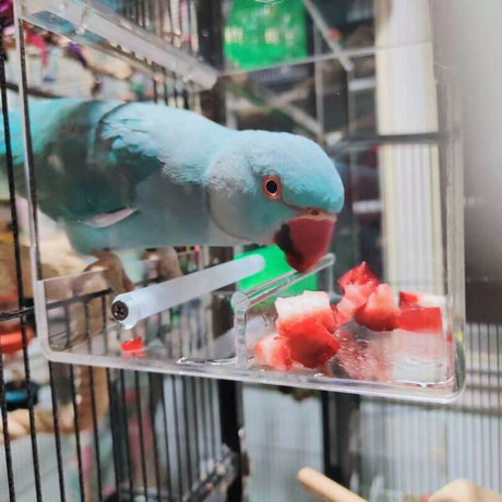 Seedmate - No Mess Feeder