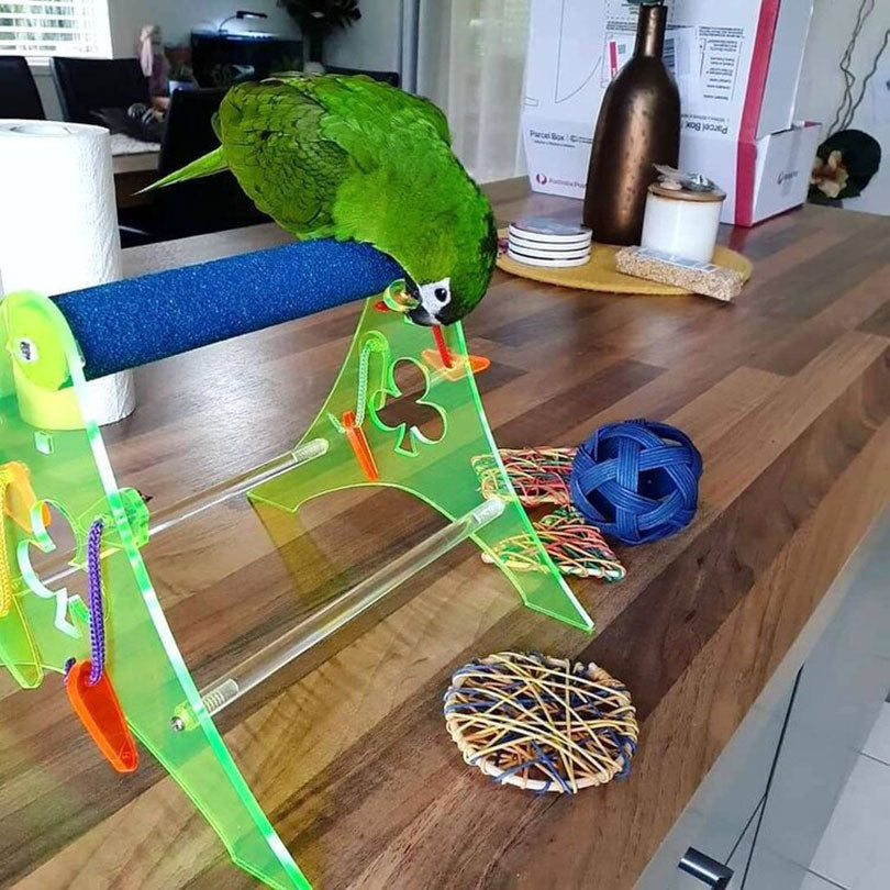 Acrylic Bird Stands