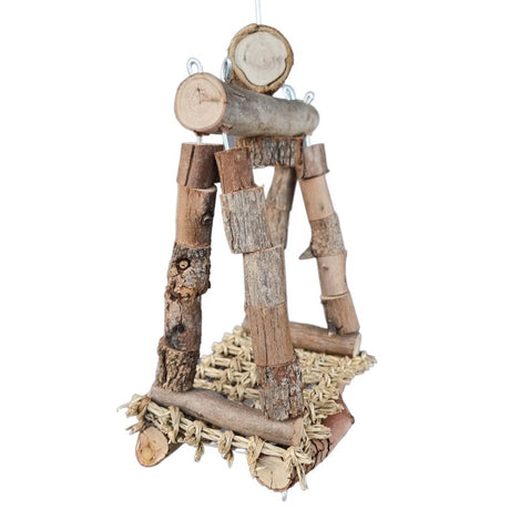 Aussie First Home Buyers Swing