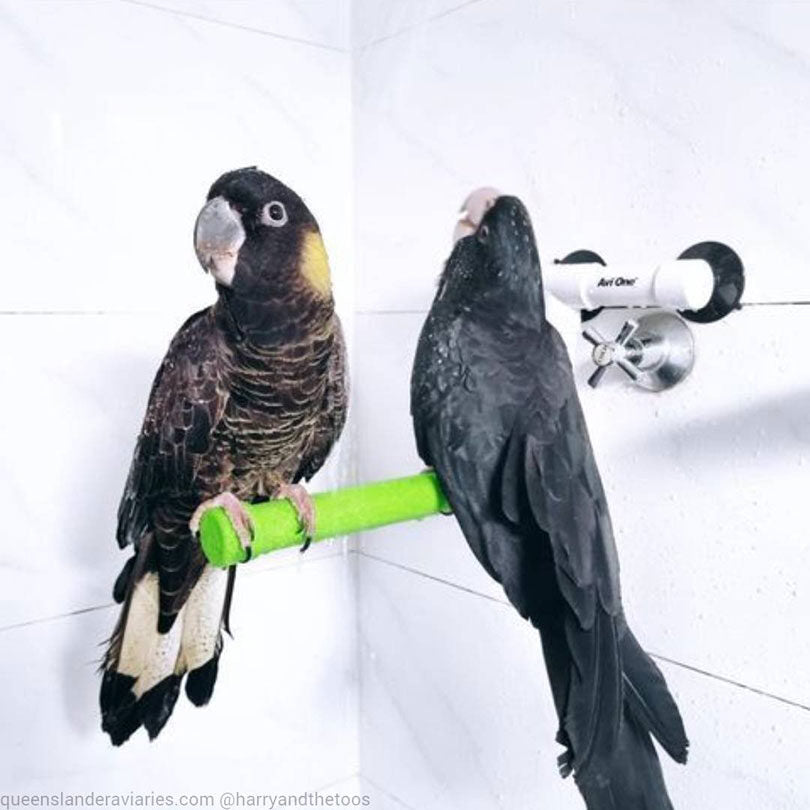 Avi-One Shower Perch
