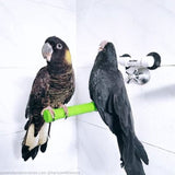 Avi-One Shower Perch