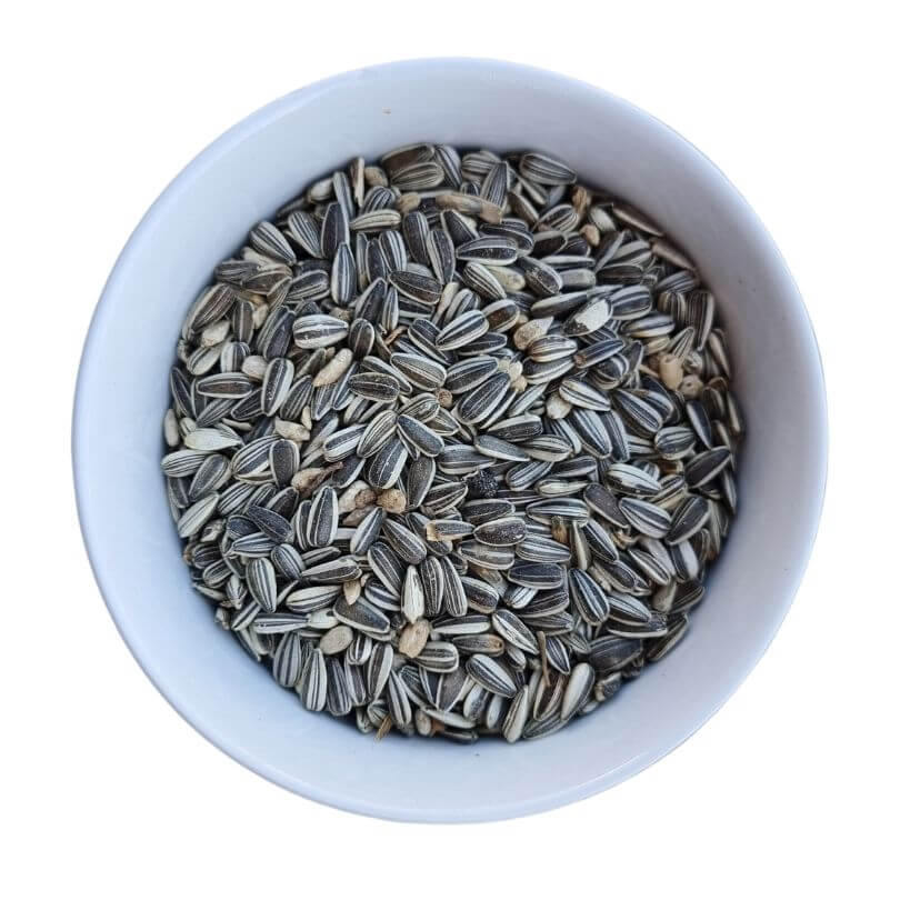Basic Grey-stripe Sunflower Seed