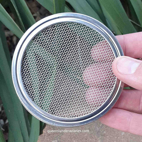 Raw for Birds Sprouting Jar